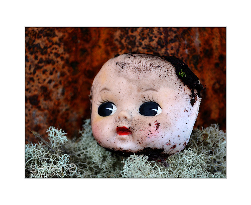dirty dolls head among white textured plant life with a rust background
