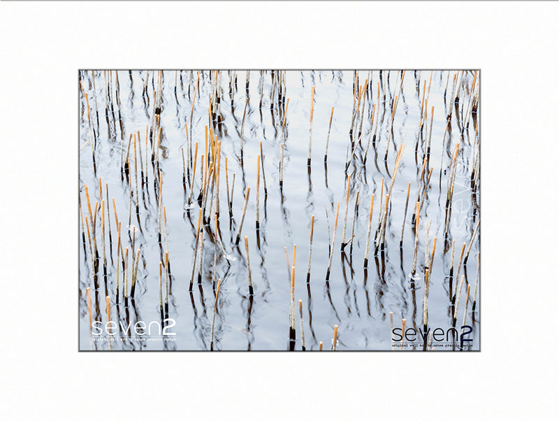 reeds, reflections and movements on a tranquil semi-frozen Irish bog lake