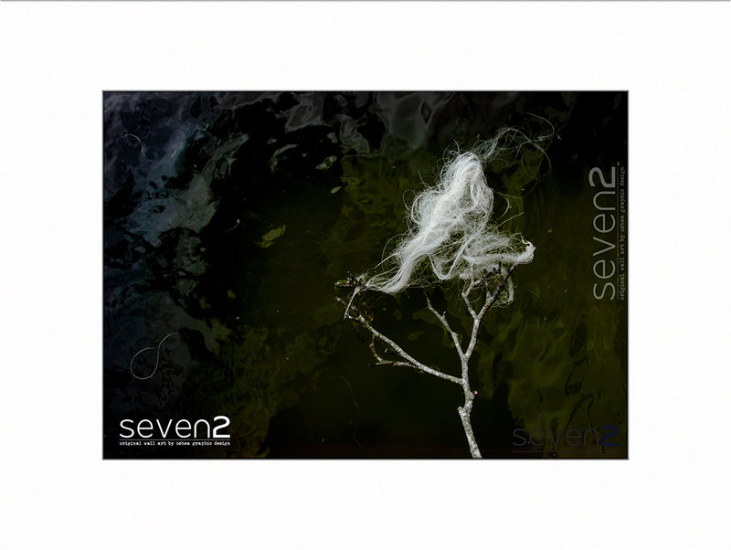 strand of sheeps wool wrapped on a twig with a textured water background.